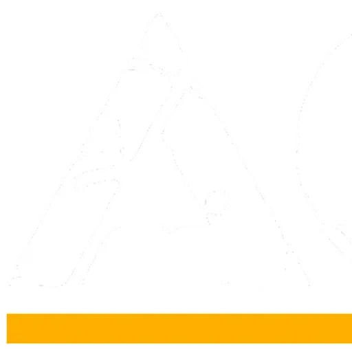 Aces & Armour badge